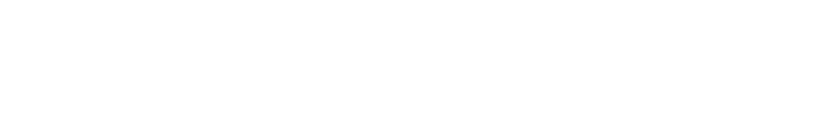White TN logo